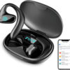 Deedlite AI Translation Earbuds