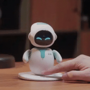 AI companion robot